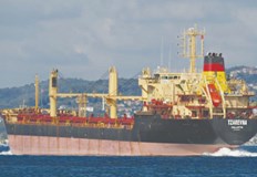 Украинските националисти са завзели два чуждестранни кораба в Мариупол и