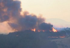 Двама мигранти са задържани на мястотоОбщо 550 декара гори