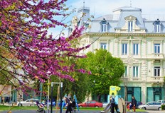 Над 1500 русенци празнуват имен ден на Великден Празник имат кръстените с