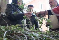 Всяка година Цветница се празнува на различни дати и се