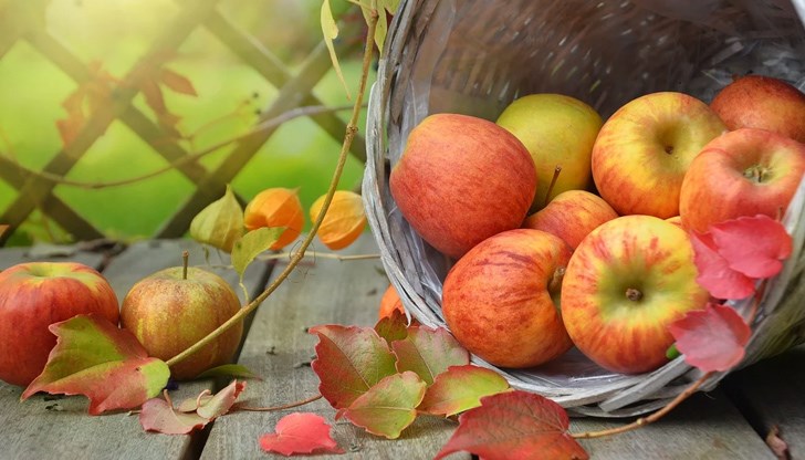 Похапването на ябълки предпазва от някои ракови заболявания - сред тях за карцином на белия дроб, рак на гърдата, рак на черния дроб и рак на дебелото черво