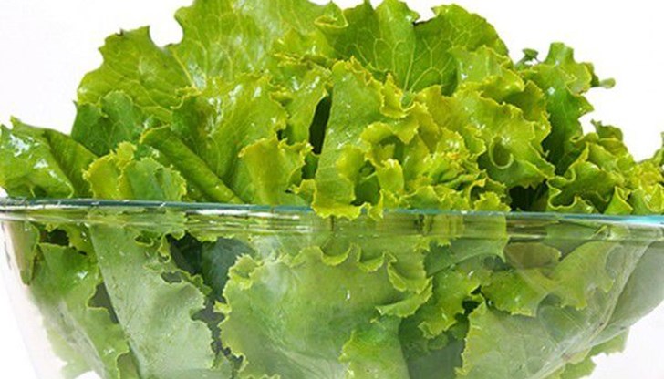 Прясната градинска зеленина от почти всякакъв вид е забранена при хора със синдром на раздразнените черва Прясната градинска зеленина от почти всякакъв вид е забранена при хора със синдром на раздразнените черва