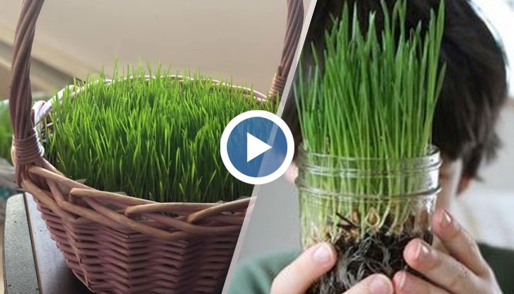 Задачата в никакъв случай не е неосъществима