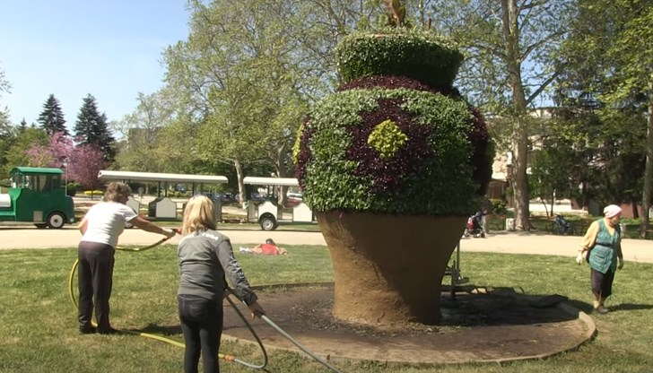 Дано времето да е благоприятно, за да може до края на април цветята да се разлистят в цялата си прелест
