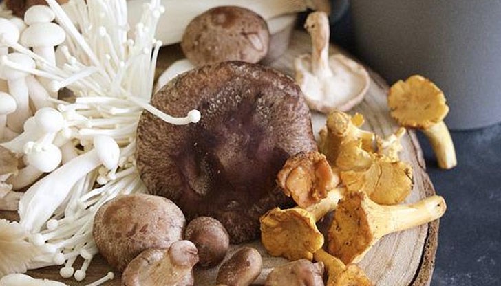 В проучването са участвали 24 699 души В проучването са участвали 24 699 души