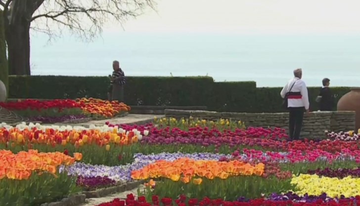 Над 50 хиляди цветя радват посетителите на ботаническата градина