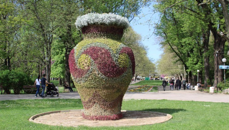 В украсата са вложени над 25 000 цветя, отгледани в оранжериите на общинското предприятие „Паркстрой-Русе“