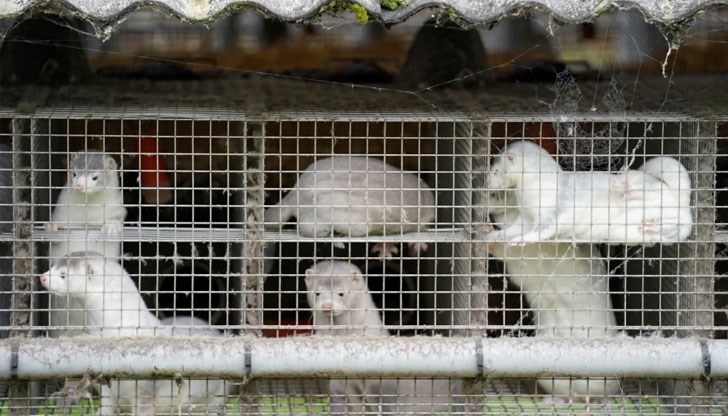 Причината е вредата върху биоразнообразието