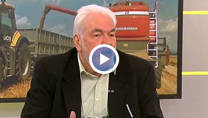 Цените на храните ще се увеличат с повече от 50% до новата реколта, показва икономически анализ на БАН