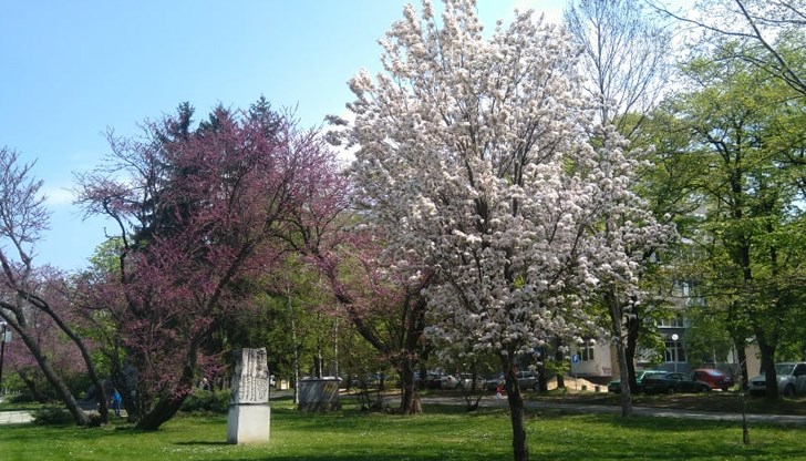 Към края на седмицата температурите ще се повишават, но нараства и вероятността за следобедни валежи Към края на седмицата температурите ще се повишават, но нараства и вероятността за следобедни валежи