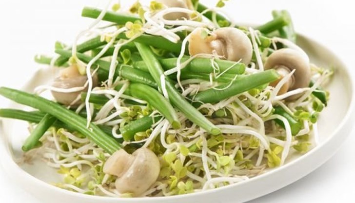 "Растителният протеин забавя процеса на стареене", казва диетологът Михаил Гинзбург