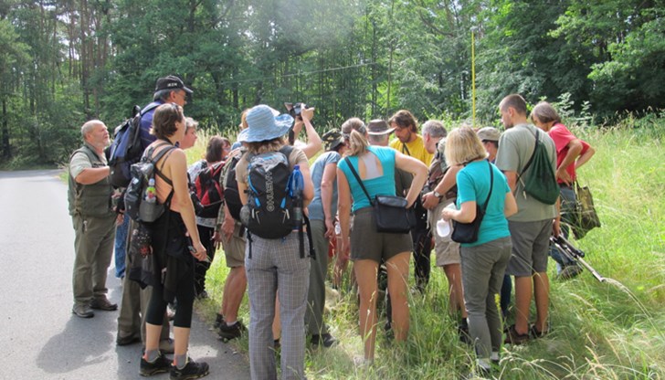 Няколко са подходящите дестинации в България, където всеки може да се полюбува на пернатите животни
