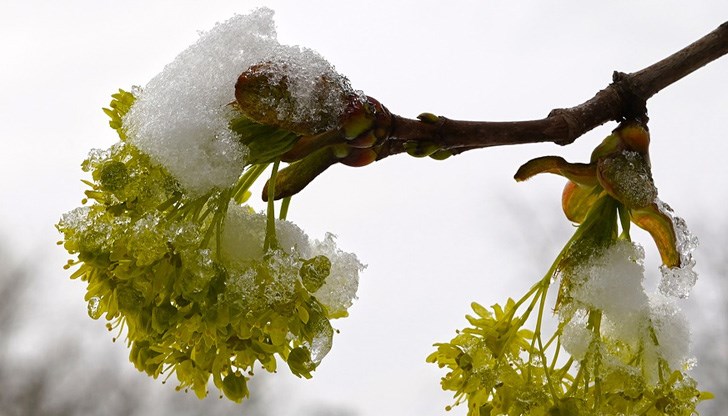 От север ще нахлуе порция арктически студ От север ще нахлуе порция арктически студ