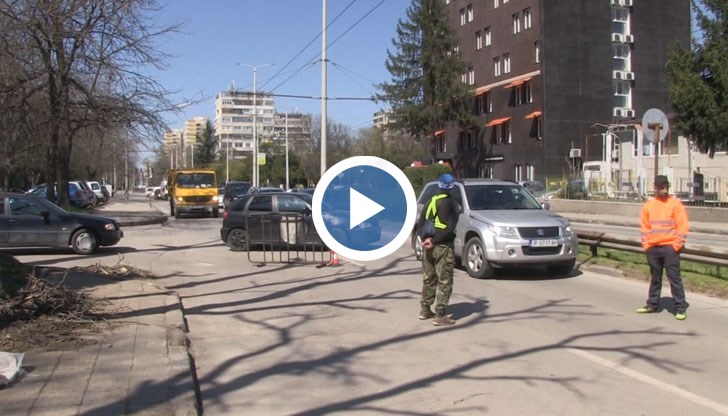 Причината е санитарна сеч и окастряне на короните на опасни дървета