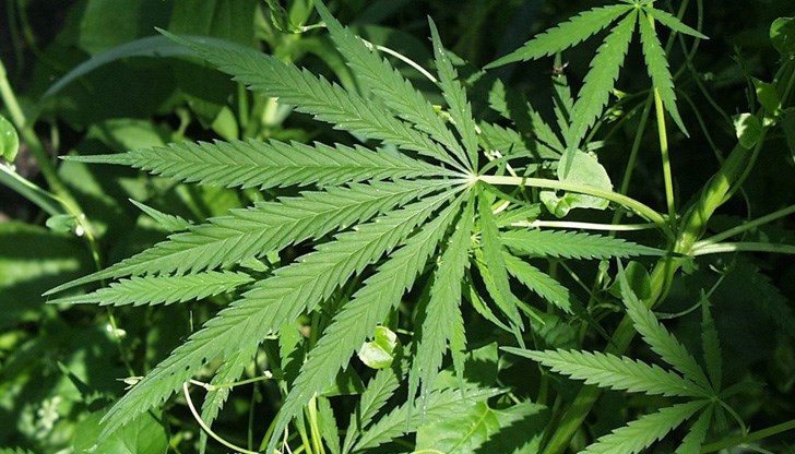 Незабавно е образувано досъдебно производство от Окръжна прокуратура Варна Незабавно е образувано досъдебно производство от Окръжна прокуратура Варна