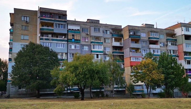 Тарикатите разчитат на ниската имотна култура и печелят много от това Тарикатите разчитат на ниската имотна култура и печелят много от това