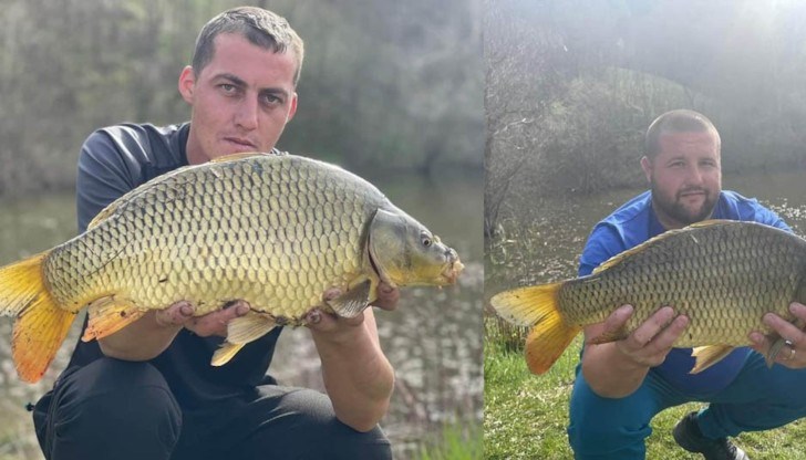 "Рибата се е бореше в продължение на 3 минути преди да я изтеглим на брега", поясниха Гюнейт и Сезер "Рибата се е бореше в продължение на 3 минути преди да я изтеглим на брега", поясниха Гюнейт и Сезер