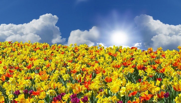 Температурите ще се повишат и максималните ще са между 19° и 24° Температурите ще се повишат и максималните ще са между 19° и 24°