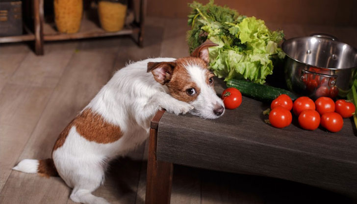 Заключението е на австралийски и британски учени Въпреки че е