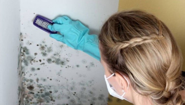 Плесента не само грози помещението, но и е опасна за