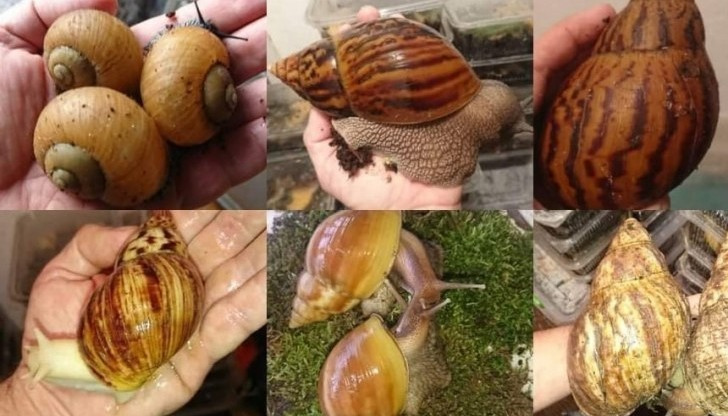 От 13 до 22 май в Екомузей с аквариум в