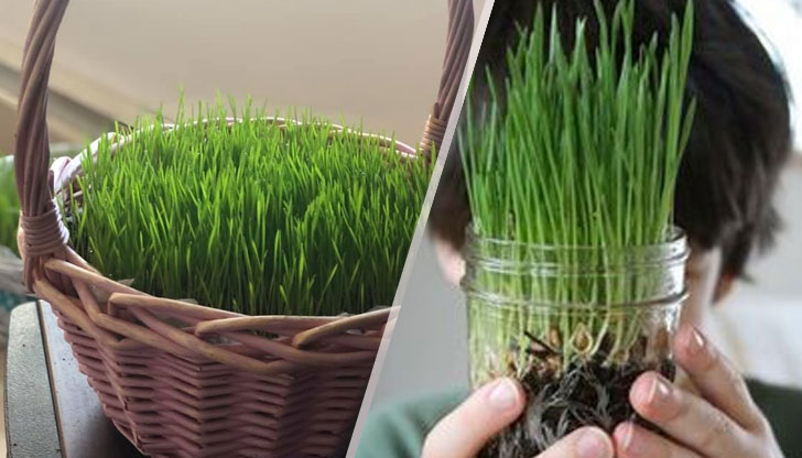 В интернет човек може да намери хиляди идеи за това