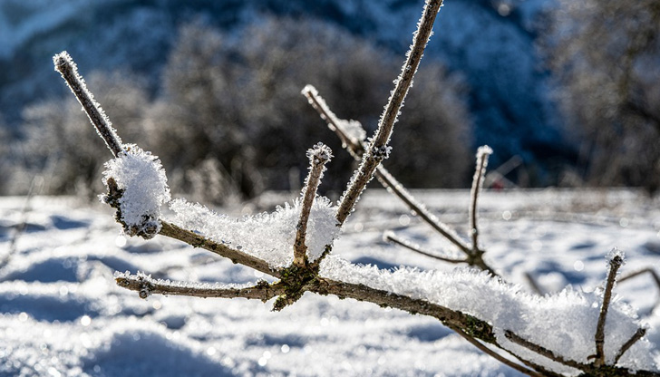 Между 4-5 см сняг падна на прохода Превала през тази