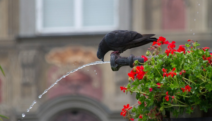 Температурата може да достигне 30 градуса&bdquo;Студеният фронт ще задържи няколко