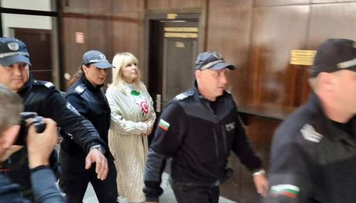 Задържаната у нас бивша румънска министърка остава в ареста до