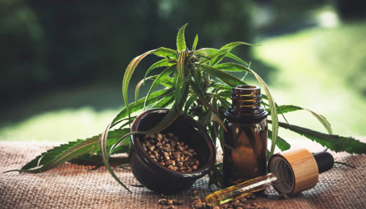 Шегаджийката е била арестуванаБулка от Флорида и нейният доставчик на