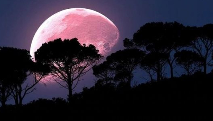 Този уикенд ще се наблюдава явлението "розова луна" - едно