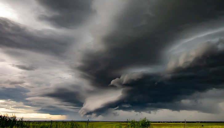 На над 120 сигнала за паднали клони, дървета и ламарини