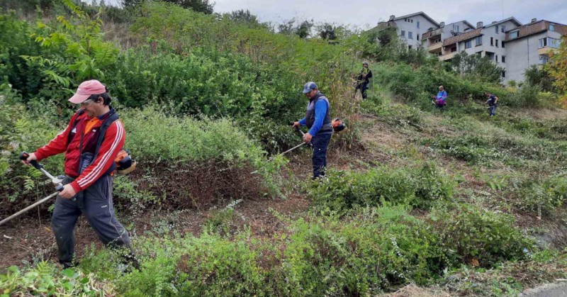 Продължава косенето на тревните площи в шестте района на РусеТази