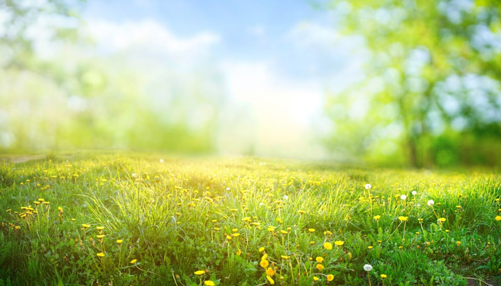 В седем области на страната за днес е обявен оранжев