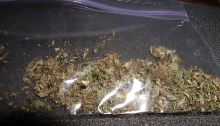 Служители на РУ &ndash; Бяла са заловили 22-годишен мъж с