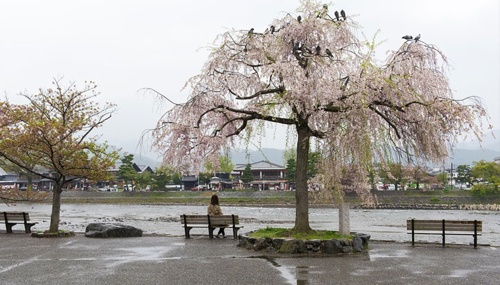 ОвенТова е месец, в който да обърнете внимание на обкръжението