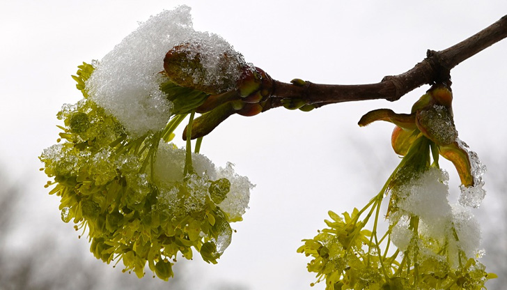В следващите дни предстои поредно априлско захлаждане.От север ще нахлуе