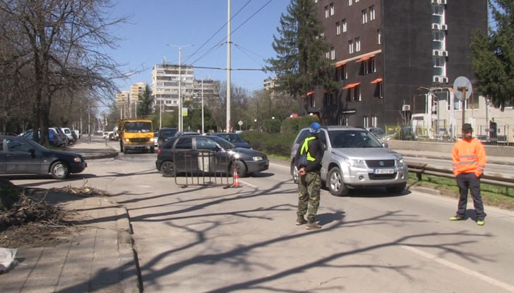 Движението по ул.“Тулча“ в Русе е затруднено заради санитарна сеч