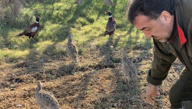 Добро впечатление направи бързата адаптация и реакция към новата среда