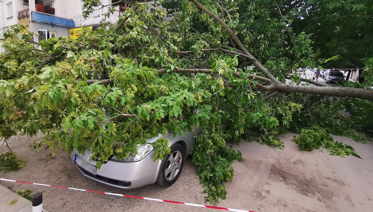 Инцидентът е станал до портала на бившата кожена фабрика в