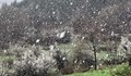 Тихо се сипе майският сняг в Рудозем