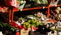 Лек спад в цените на плодовете и зеленчуци на тържищата