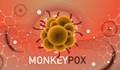 СЗО: Маймунската шарка представлява умерен риск за глобалното обществено здраве