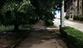 Русенец: Трябва да се наведеш, за да можеш да минеш по тротоарите в града