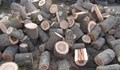 Незаконна дървесина откриха полицаите в Бяла и Копривец