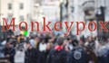 Германия препоръчва 21-дневна карантина за заразени с маймунска шарка