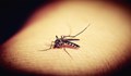 Лесен начин да прогоните комарите