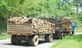 Иззеха крадени дърва в района на Попово