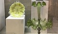 „Пъпчива кана“, джобна бутилка и още уникални експонати показва от днес Къщата на Калиопа