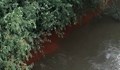 Червени води от незнайно място оцветиха Русенски Лом